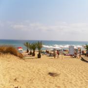 Пляжи Созополя. Отдых в Болгарии. Пляжи Созополя Общественный транспорт и аренда авто